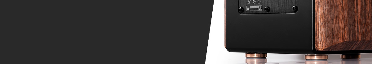 monitor de audio coaxial