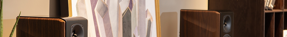 monitor de audio madeira